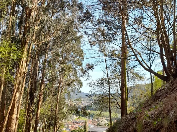 Casa de pueblo en Agones, 106 - Foto 18