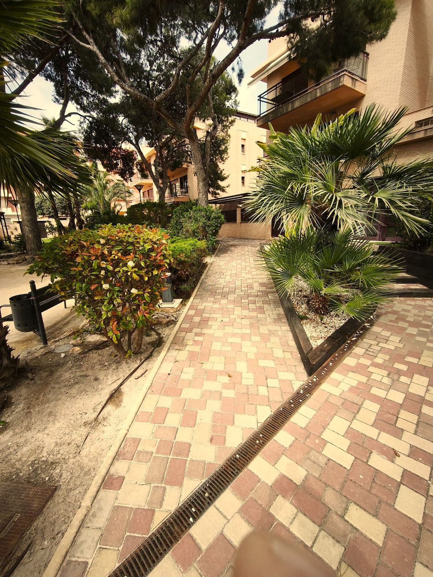 Piso en Calle del Pintor Manuel Baeza Gómez, 40, Centro, San Juan de Alicante - Foto 27