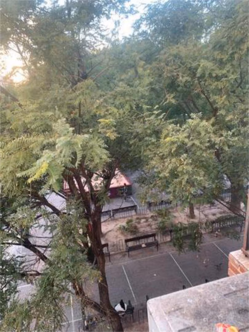 Piso en Virgen del Remedio