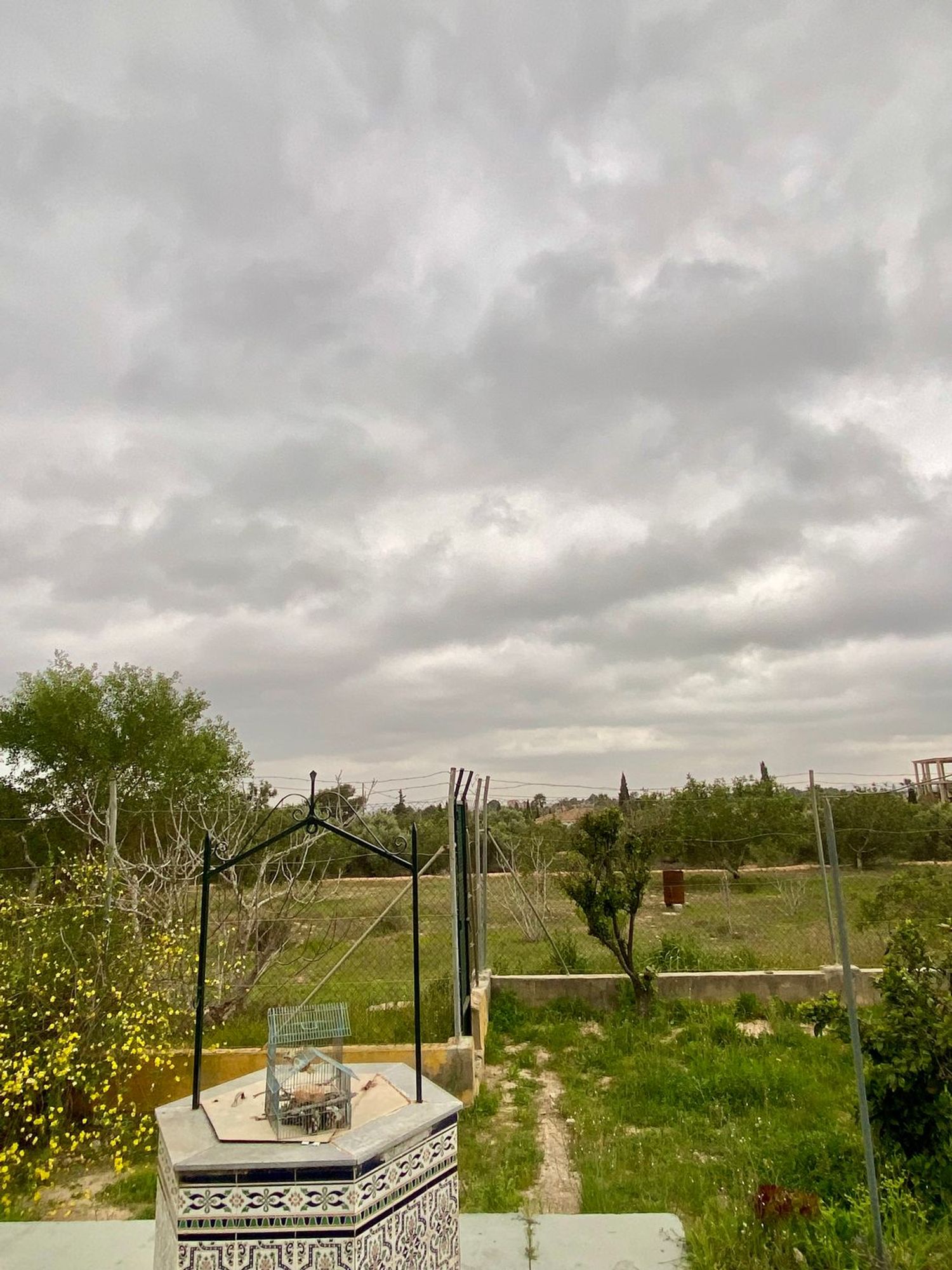 Casa independiente en calle 10 s/n - Foto 24