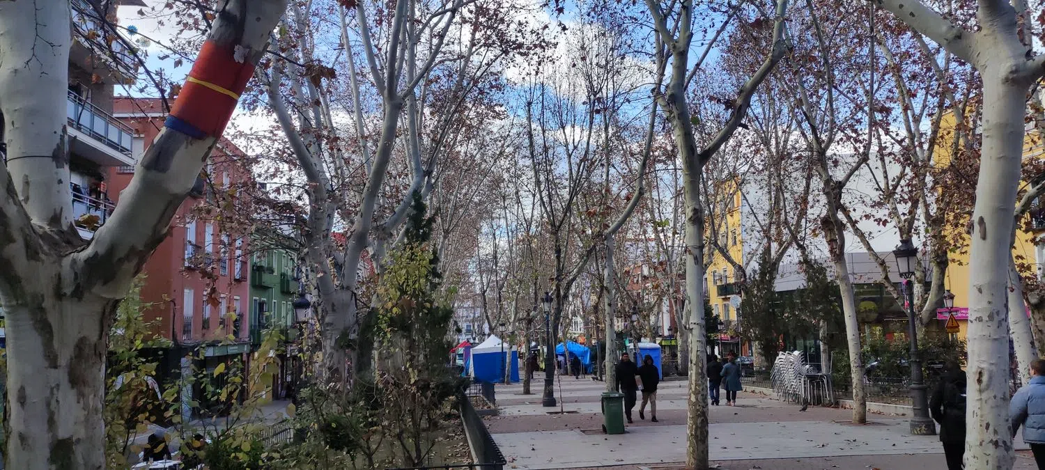 Estudio en calle de Peña Gorbea, 18 - Foto 25