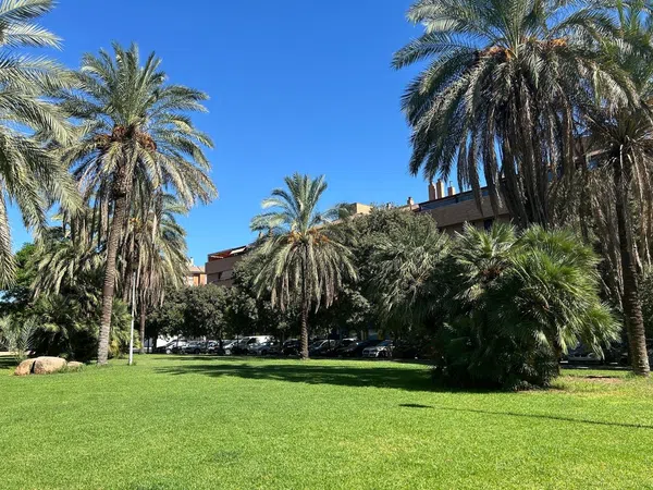 Ático en calle Dolores Ibárruri, 1 p - Foto 15