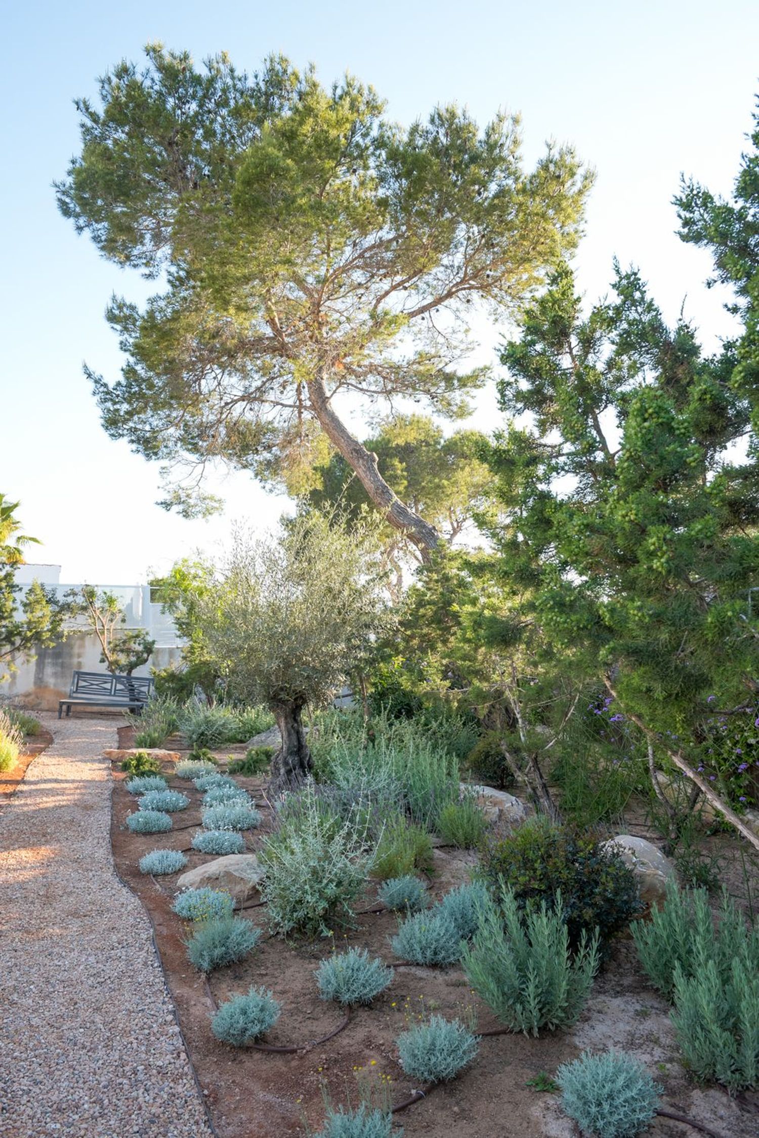 Casa o chalet independiente en Calle de la Punta des Pou, 200, Cala Vedella - Cala Tarida - Cala Conta, Cala Vedella - Cala Tarida - Cala Conta - Foto 31