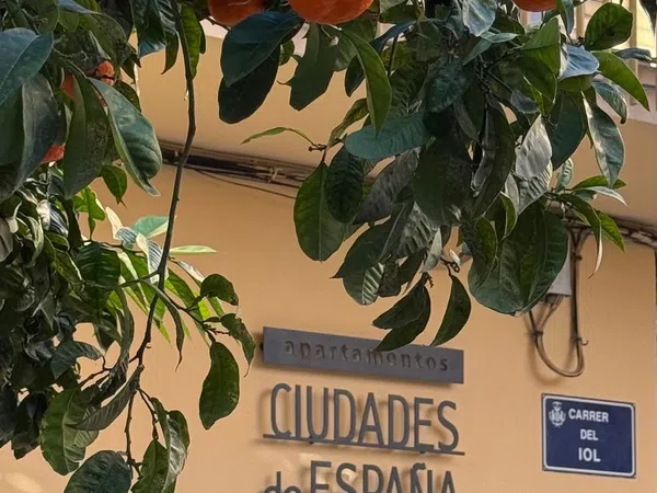 Estudio en Calle del Iol, 2 - Foto 1