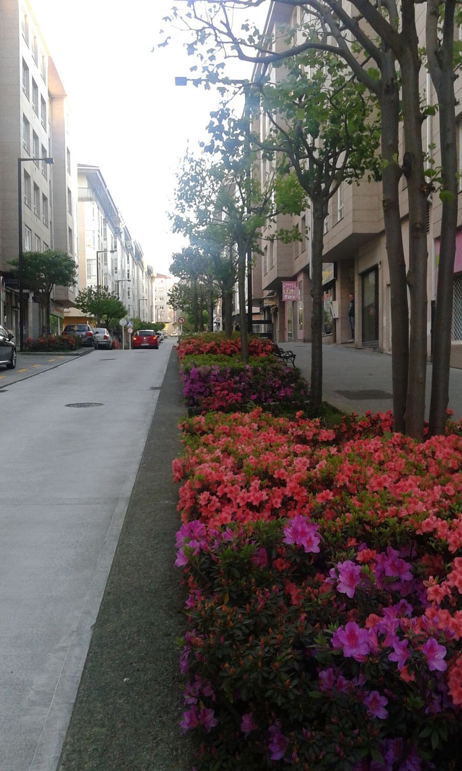 Piso en o Milladoiro - Foto 15