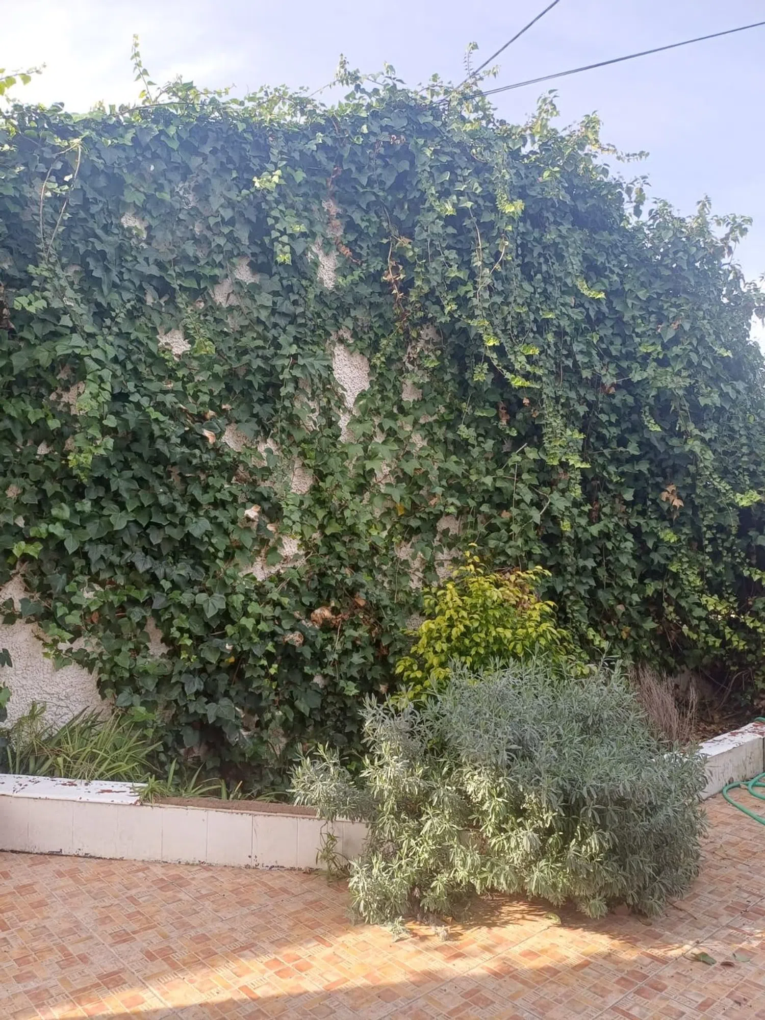 Casa independiente en Av vereda Real, 15 - Foto 23