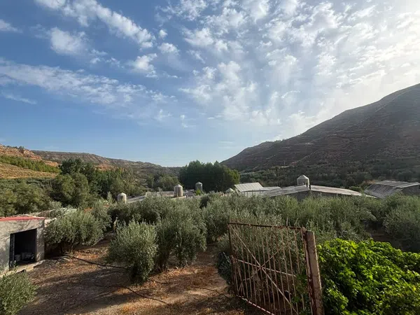 Cortijo en Cortijo en Carretera de Belerda s/n - Foto 12