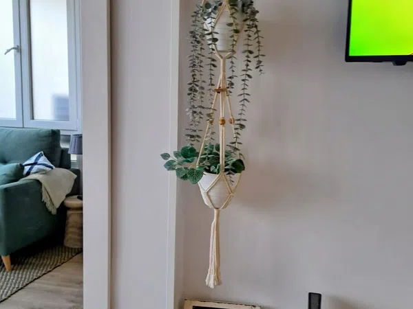 Estudio en avenida gamonal, 4 - Foto 5