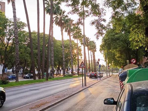 Piso en Avenida de los Pinos, 34, Santa María de Gracia - Foto 15