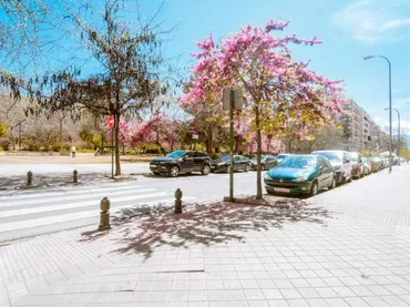 Apartamento en  Arabial 125 - Foto 11