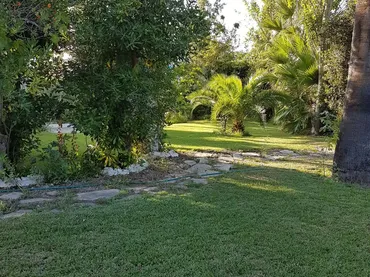 Piso en  Passeig Marítim de Sant Joan de Déu 185 - Foto 6