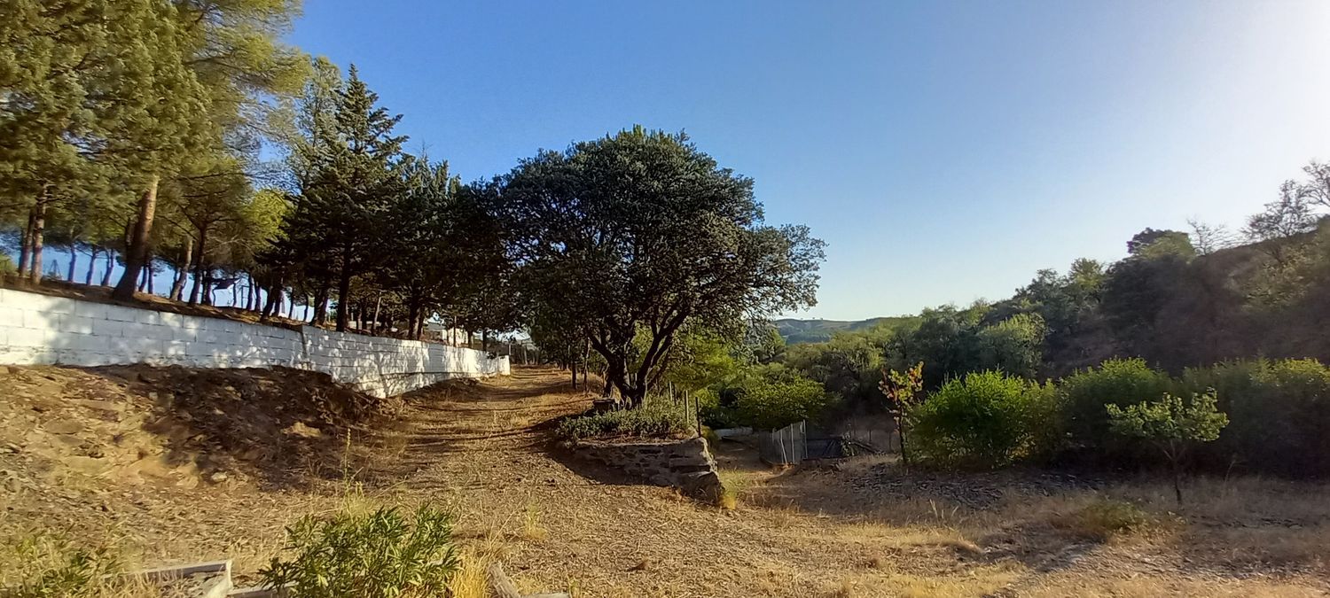 Finca rústica en Carretera de San Antonio s/n - Foto 22