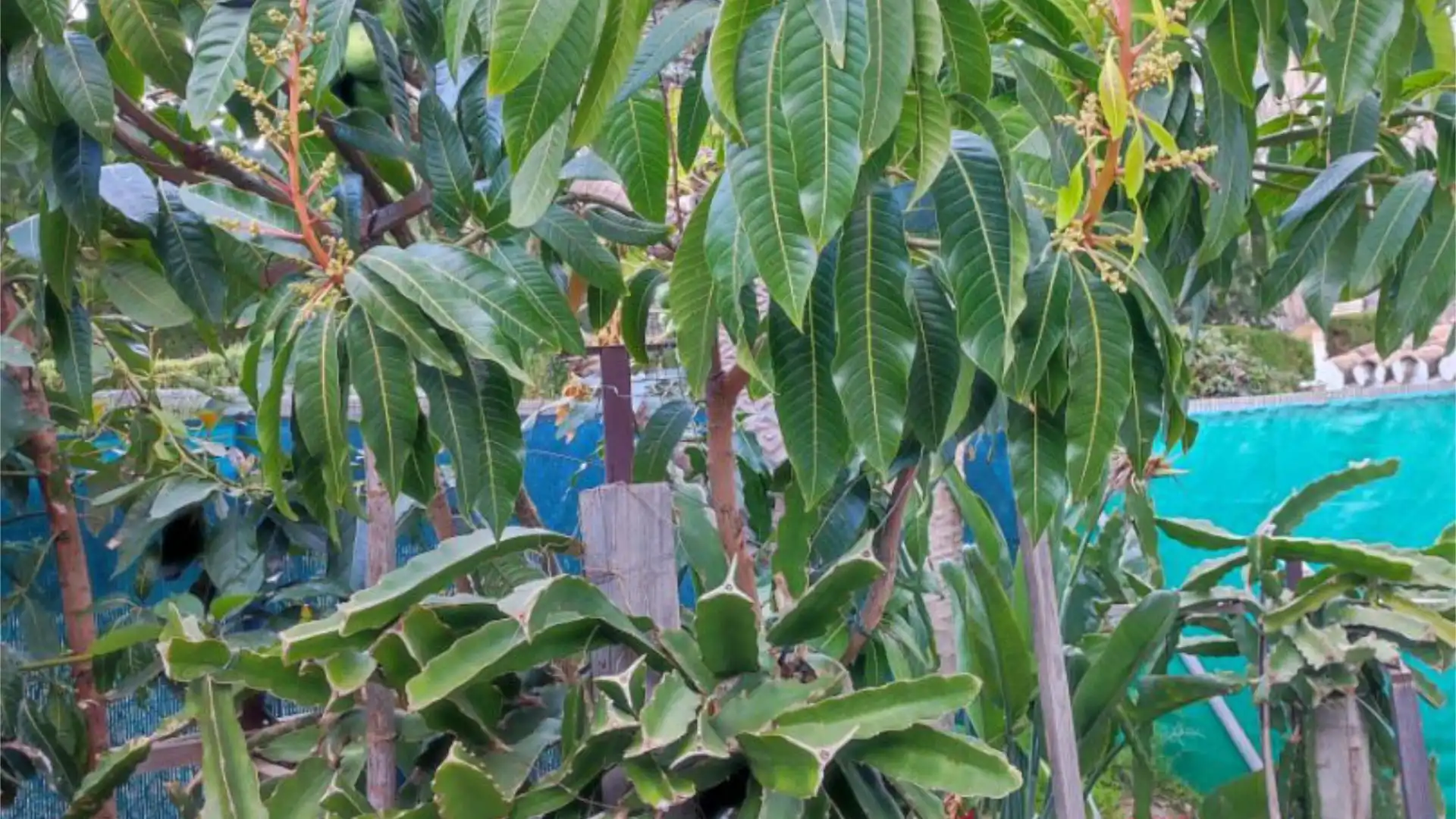 Casa adosada en  Calle Almería 64 - Foto 24