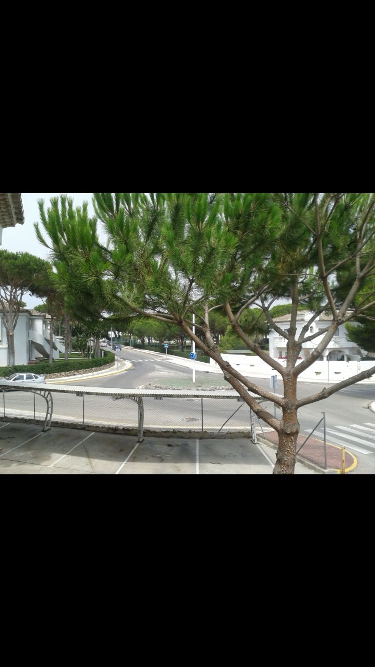 Piso en Avenida de las Quintas, 4, La Barrosa - Foto 11