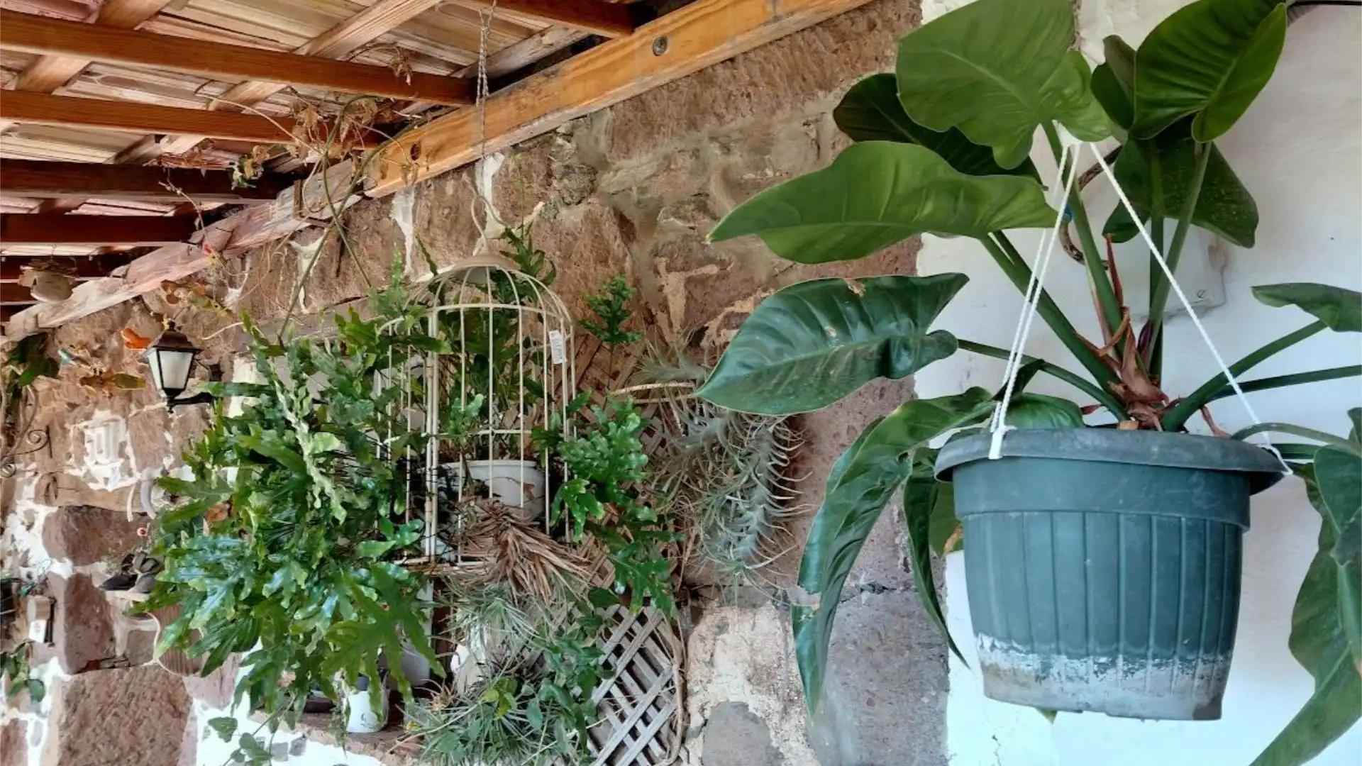 Finca rústica en calle Calle Espíritu Santo 15 - Foto 49