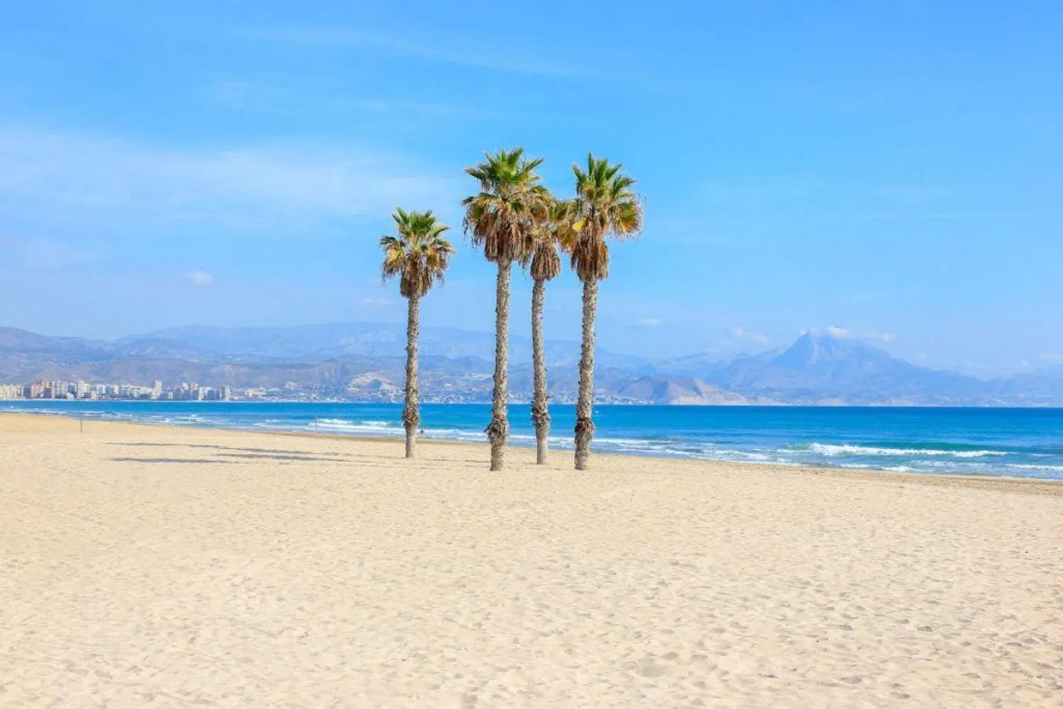 Piso en Maestro José Garberí Serrano, 16 - Foto 16