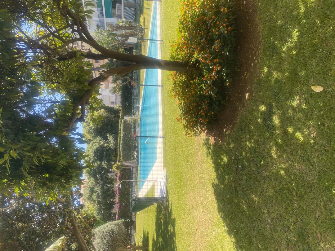 Apartamento en  Avenida Ricardo Soriano 35 - Foto 13