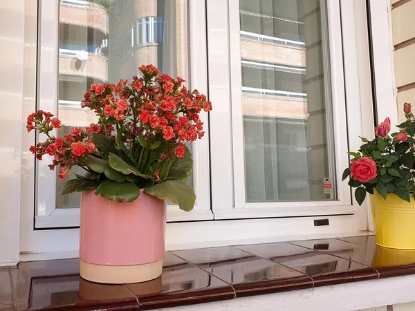 Piso en plaza de Carlos I, 4 - Foto 7