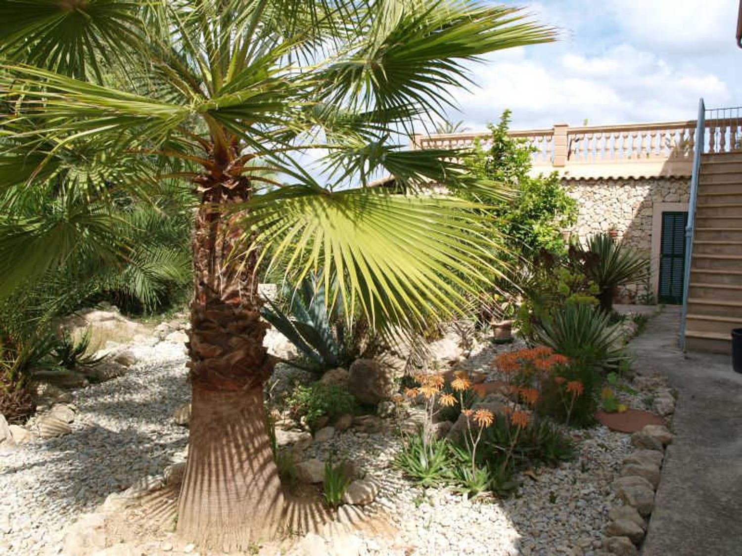 Finca rústica en Carretera Montuïri - Lloret s/n - Foto 23