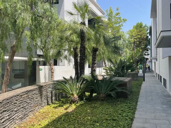 Piso en Plaza Josep Roca Pons, 2, San Sebastian-Aiguadolç, San Sebastian-Aiguadolç - Foto 12