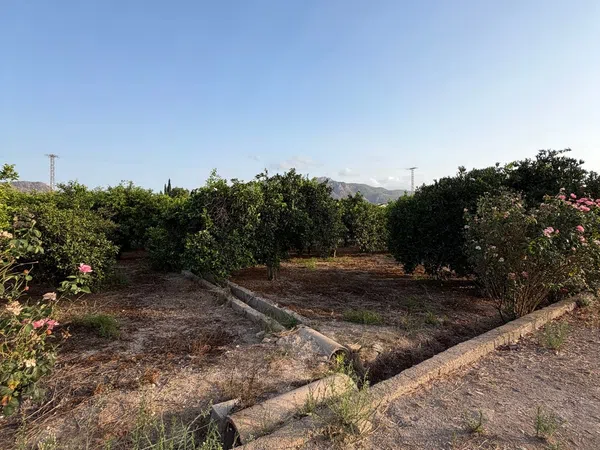 Finca rústica en Camino de los Plazas, 16, San José de la Vega - Foto 38