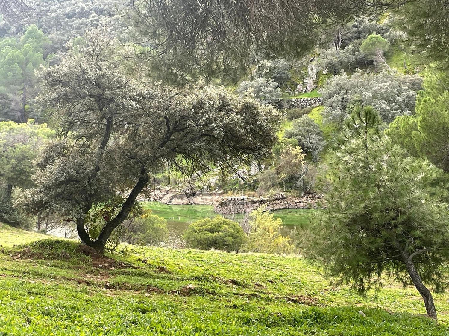 Finca rústica en Diseminados puente San Juan, 57 - Foto 5