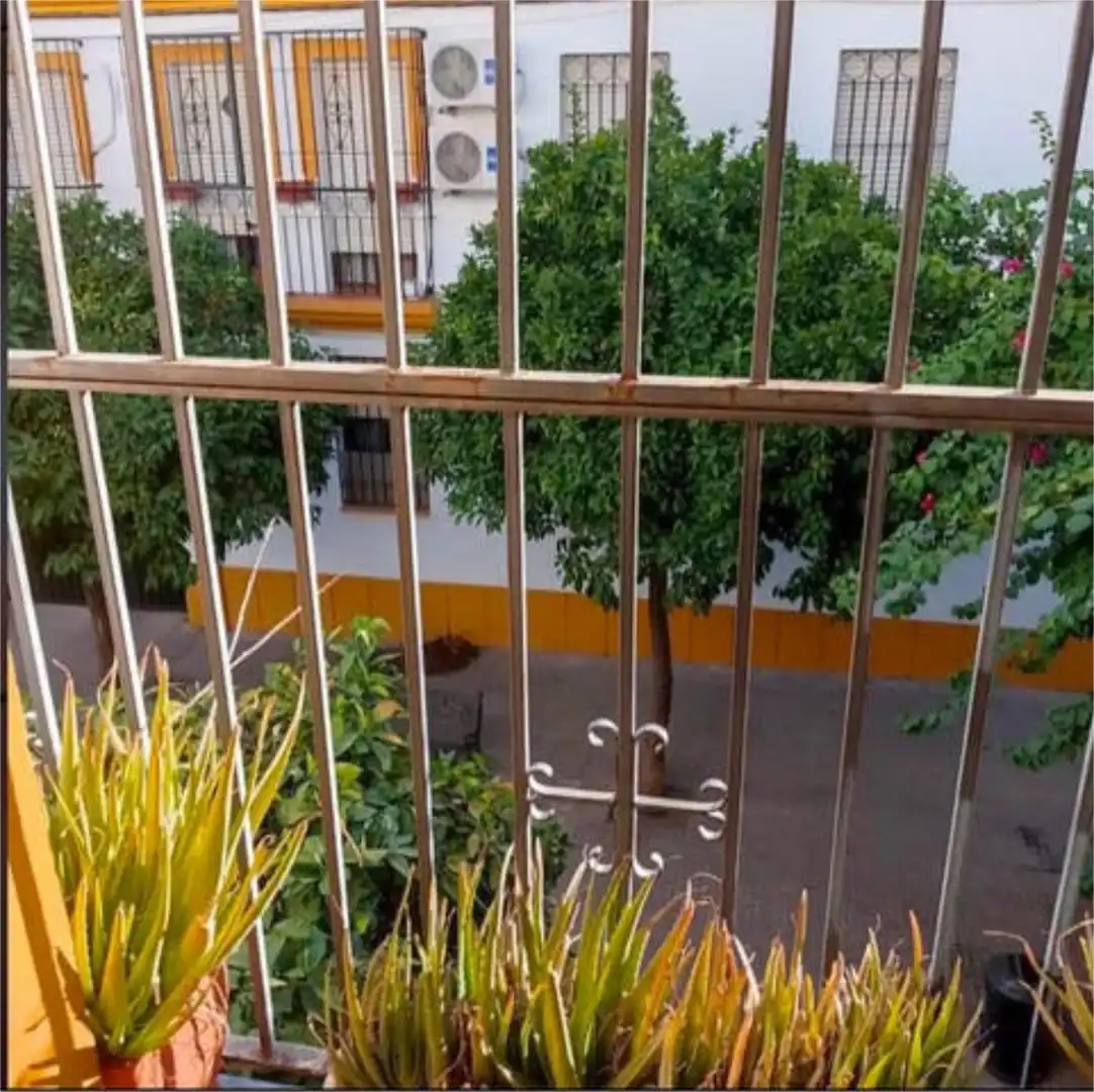 Piso en Facultad de Derecho - Foto 7