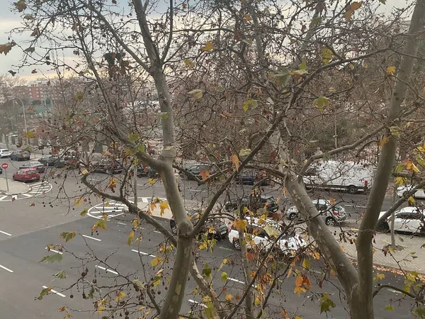 Piso en calle del Marqués de Lema, 7