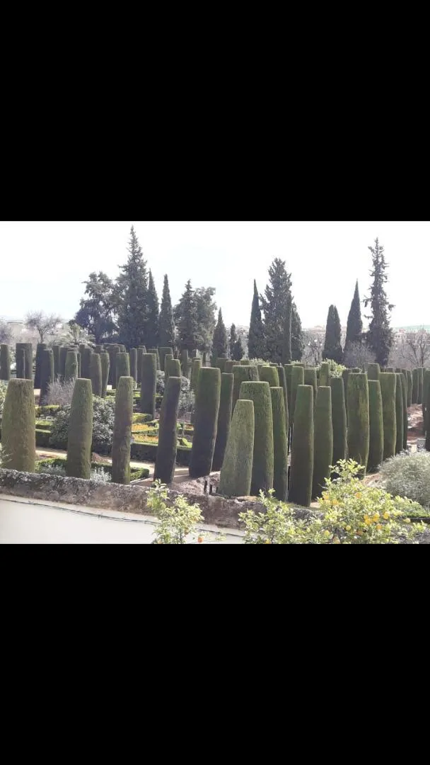 Piso en  Calle San Basilio 19 - Foto 18