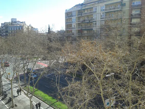 Piso en avenida Diagonal, 334