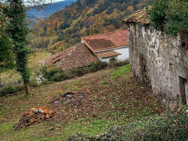 Casa o chalet independiente en Pedrafita, 5 - Foto 3