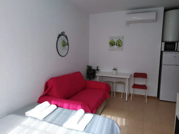 Estudio en Carrera de Capuchinos, 9, El Ejido - Foto 6
