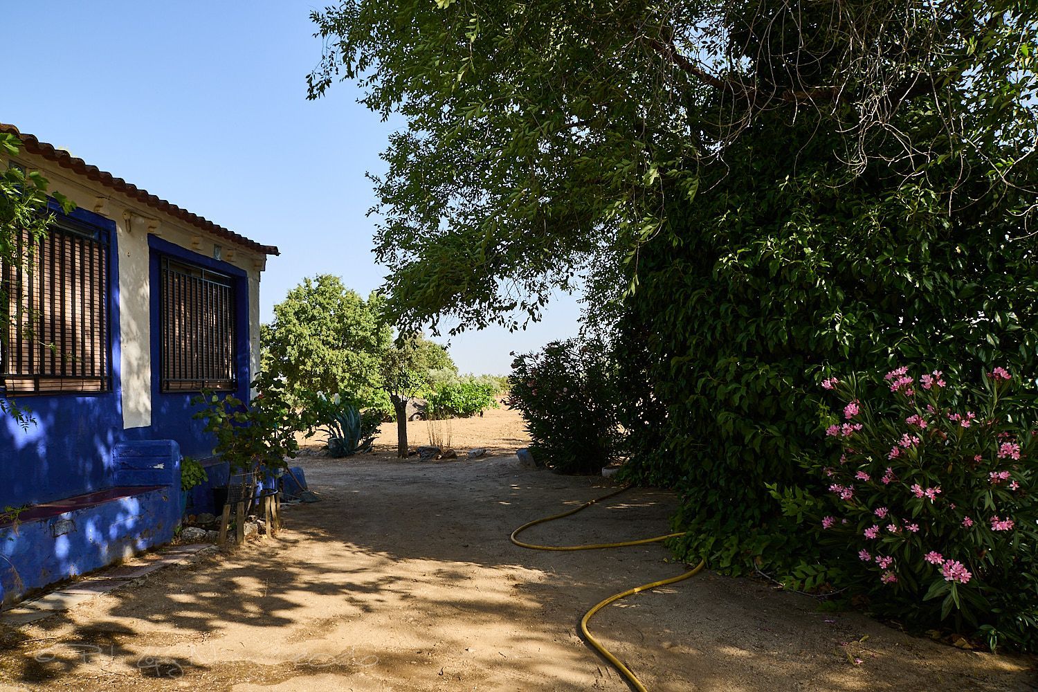 Finca rústica en Camino de la Mata s/n - Foto 14