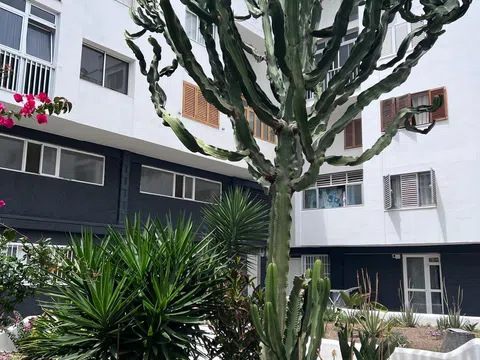 Estudio en Plazoleta Bemizola, 2