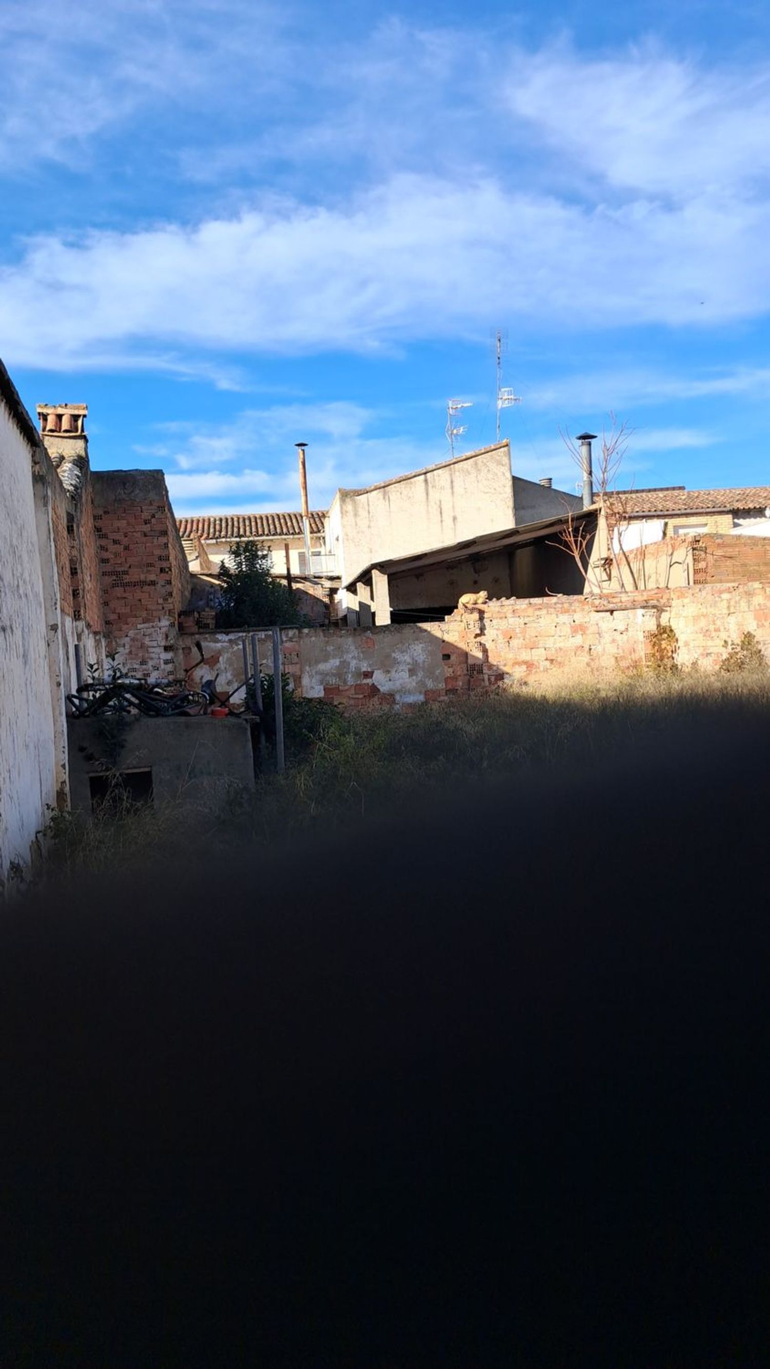 Finca rústica en Calle Mártires de la Patria, 50 - Foto 2