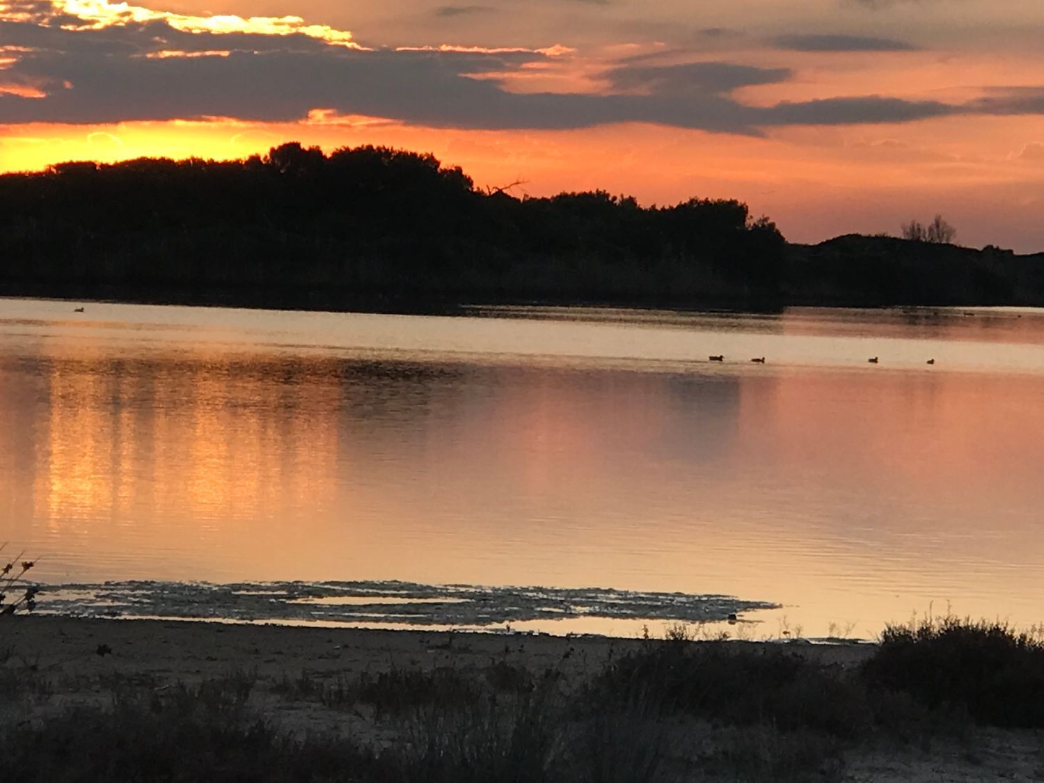 Piso en avenida Gola del Puchol, 22 - Foto 9