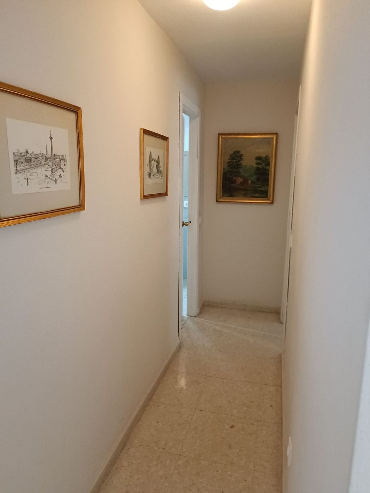 Piso en Plaza aviador ruiz de alda, 5 n, Prado de San Sebastián - Ramón Carande - Foto 13