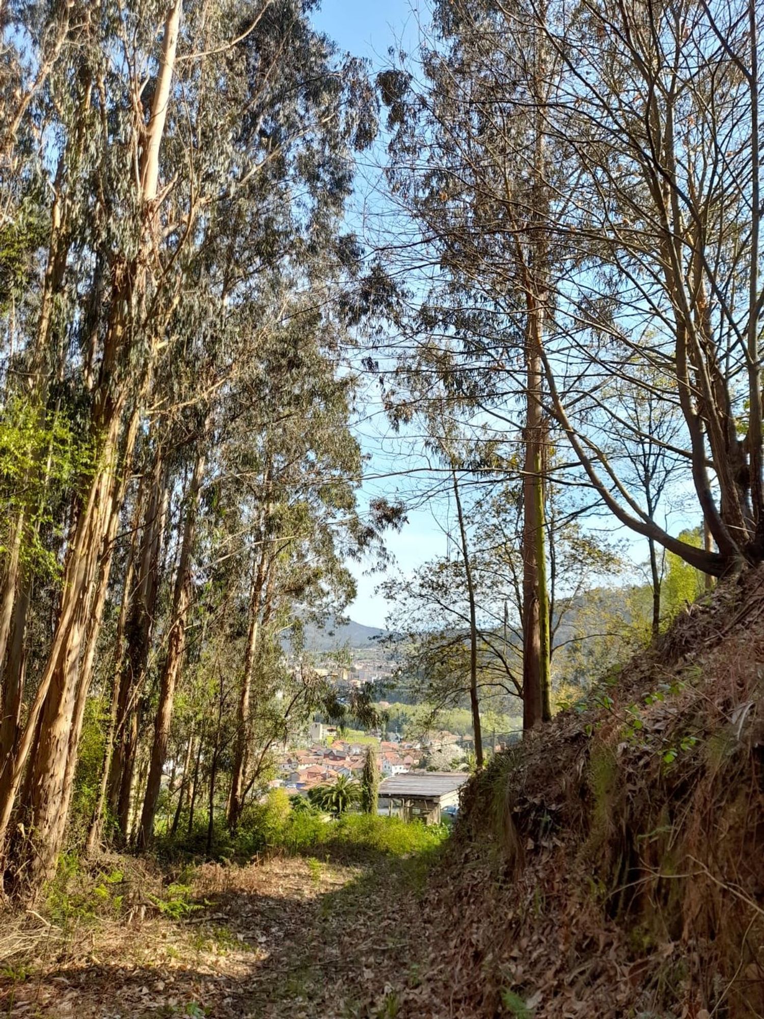 Casa de pueblo en Agones, 106 - Foto 18