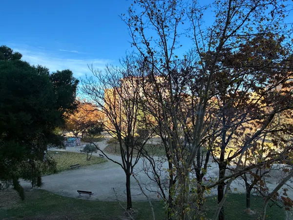 Piso en Barrio Pol Universidad Romareda - Foto 31