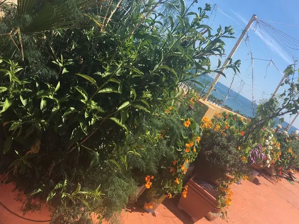 Ático en Barrio Playa de la Malvarrosa - Foto 10