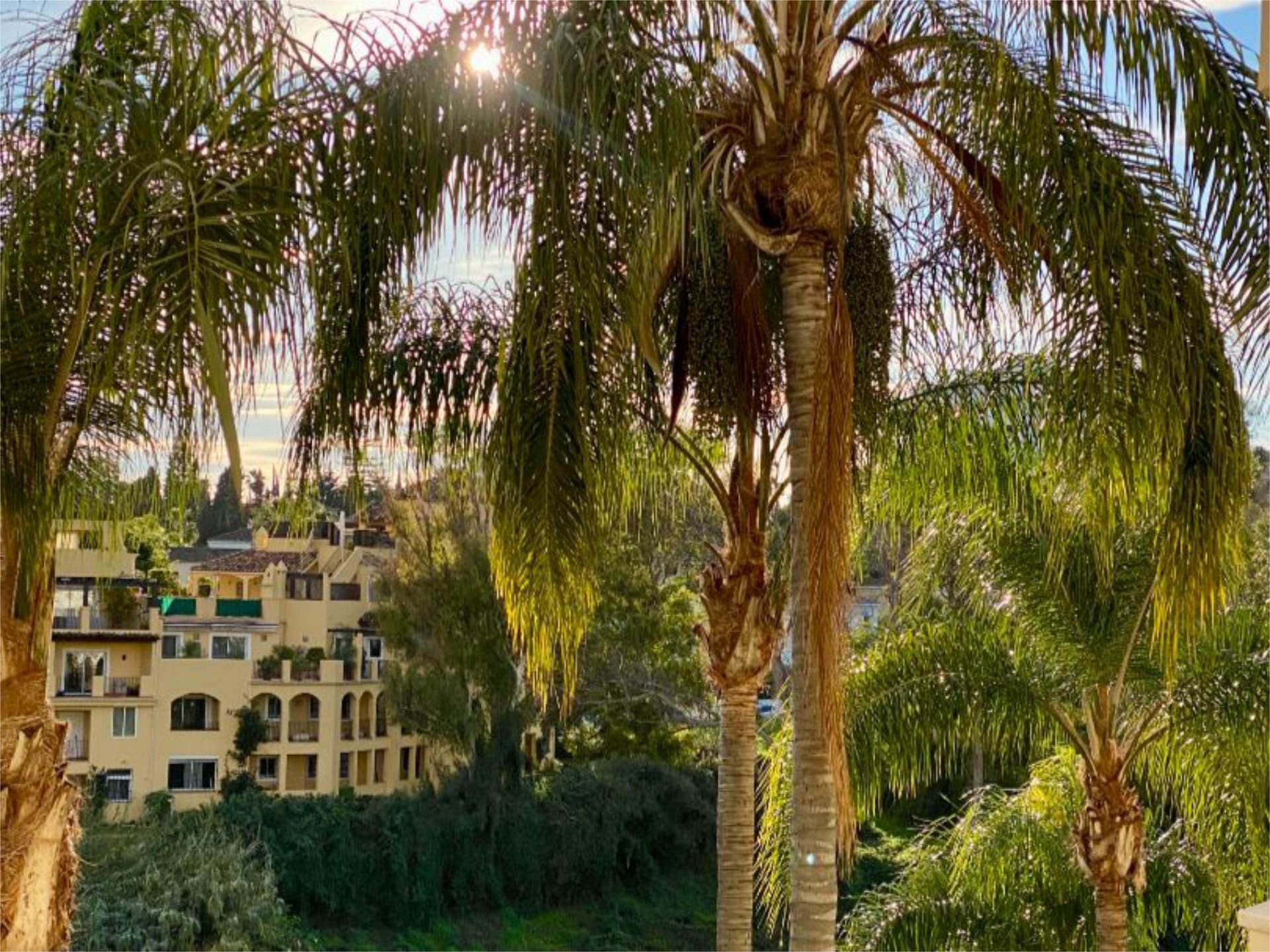 Piso en  Calle 25 5C - Foto 41