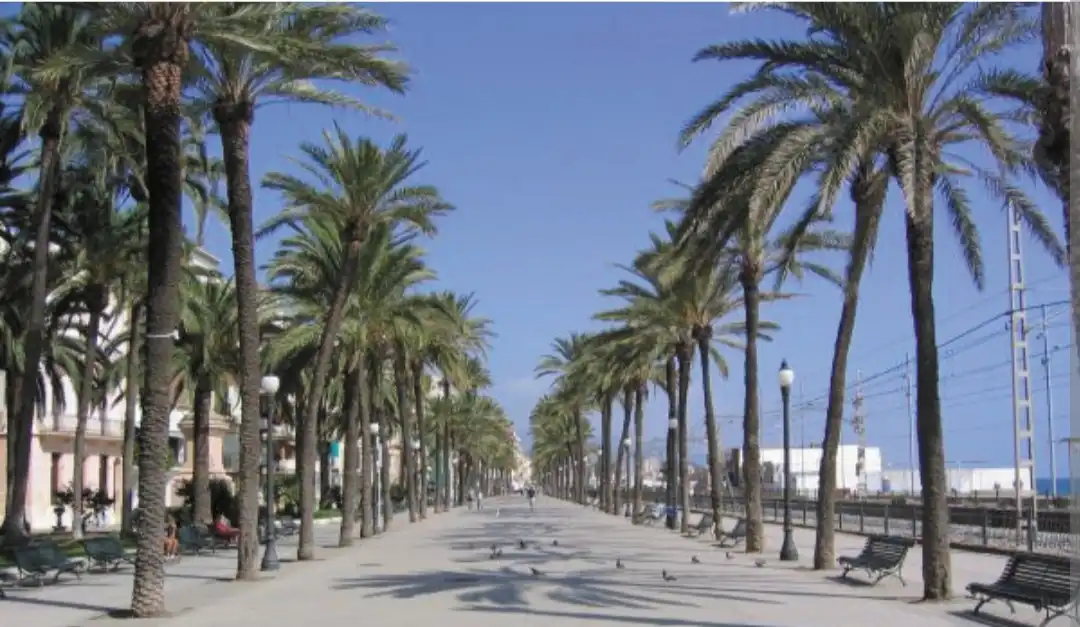Local comercial en Badalona - Foto 9