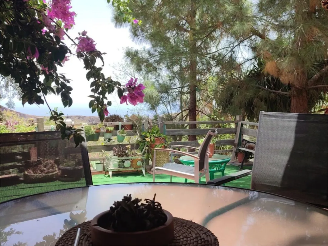 Finca rústica en calle Calle Espíritu Santo 15 - Foto 51