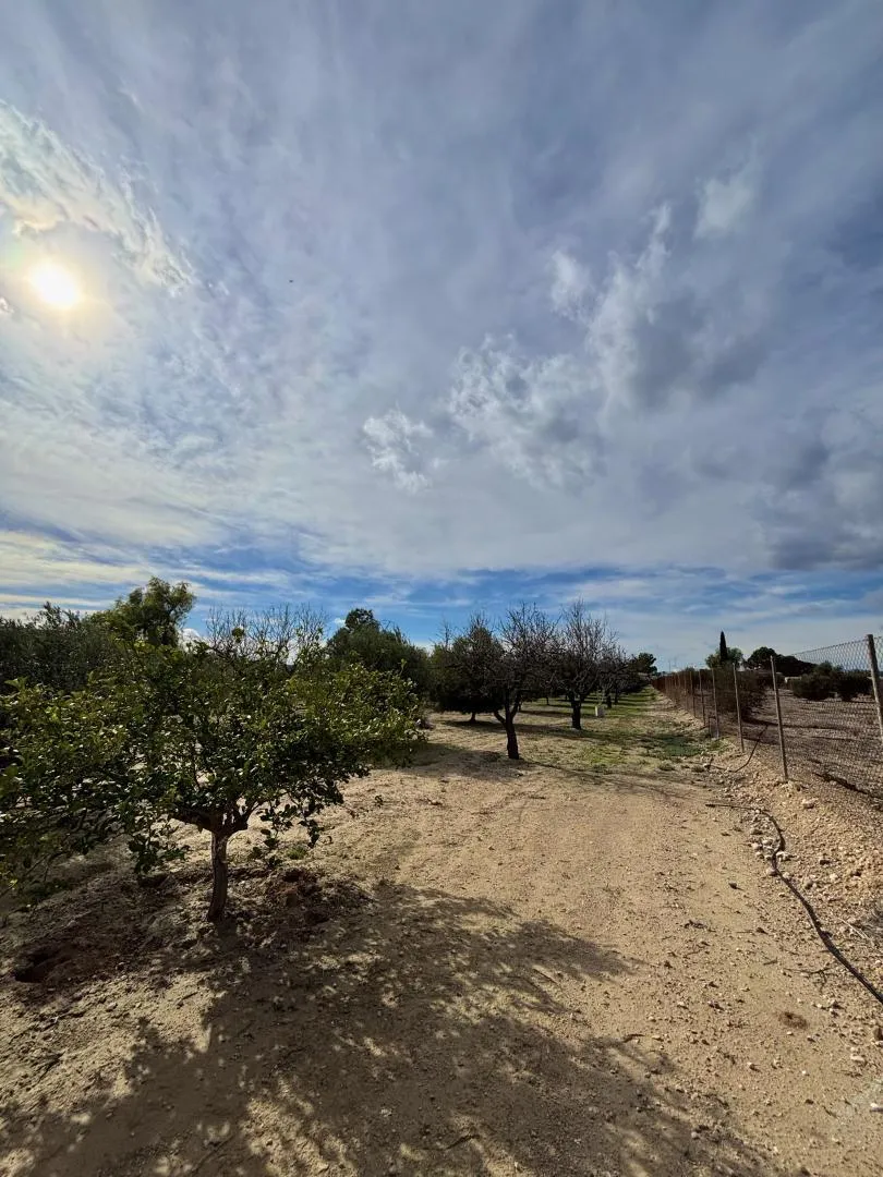 Finca rústica en  Calle Fc Ladrillo 11 - Foto 16