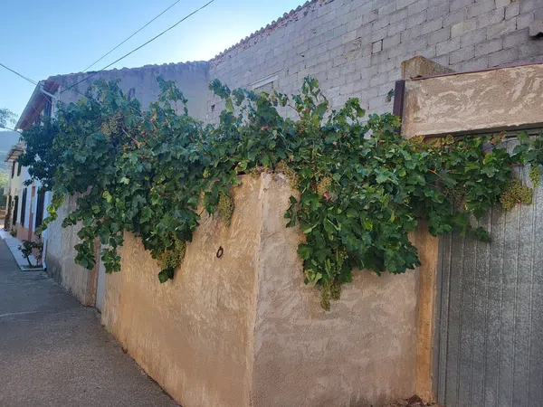 Casa de pueblo en Calle Mayor, 4 - Foto 2