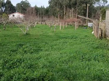 Planta baja en  Camiño Grande 33 - Foto 8