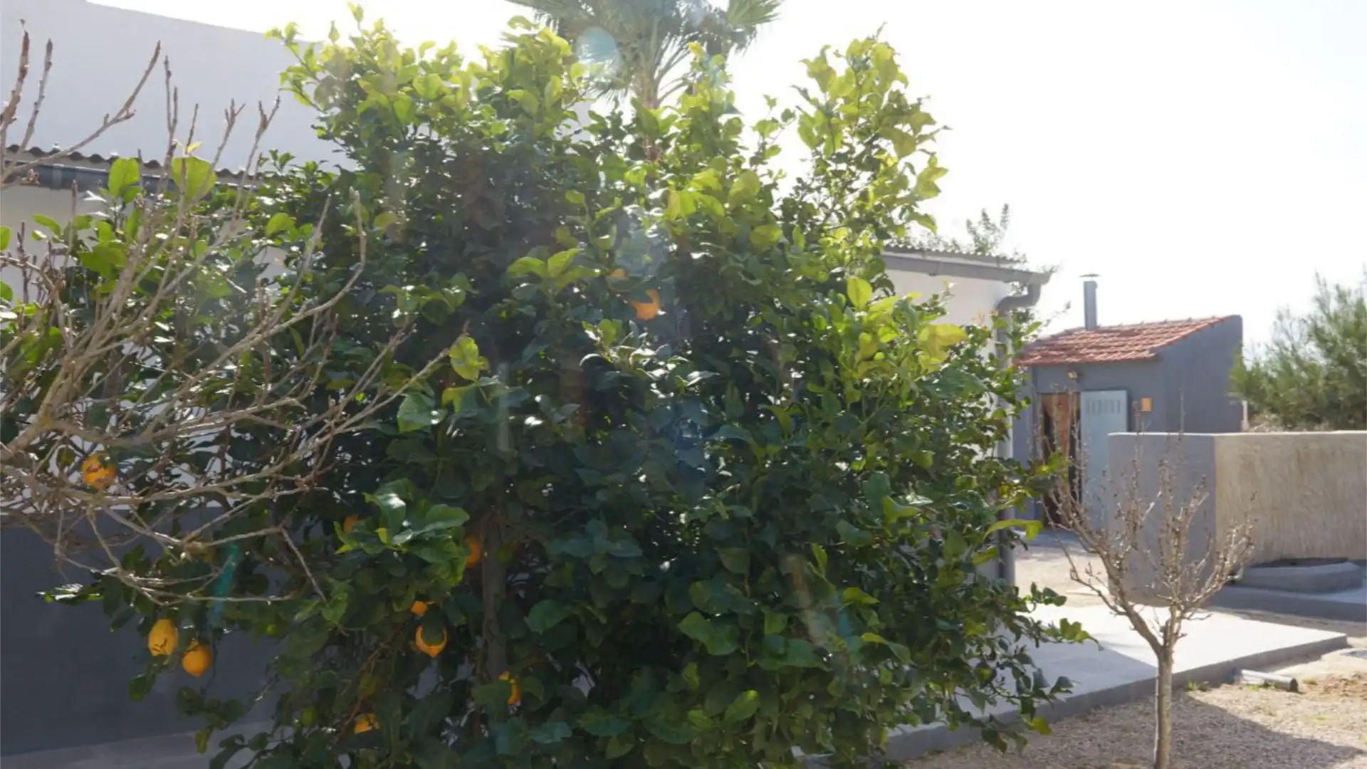 Chalet en  Partida Daimes 216 - Foto 92