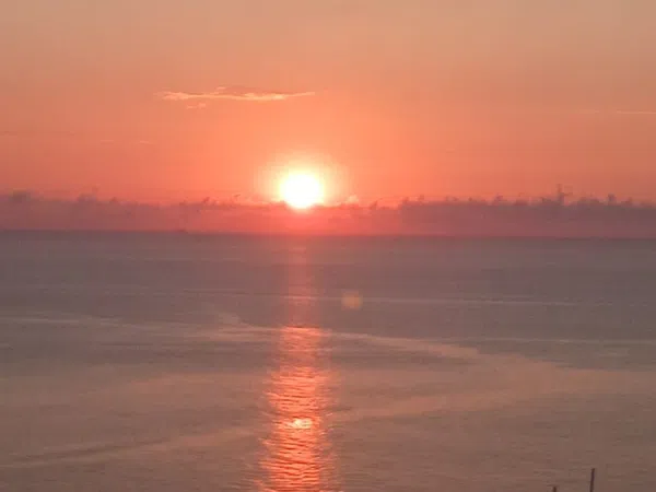 Chalet adosado en calle Azahar, 14 a - Foto 36