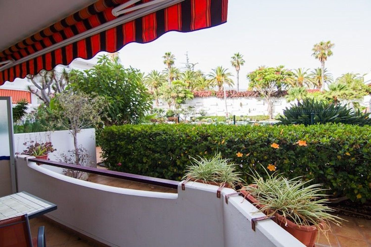 Estudio en Distrito Botánico - Foto 6