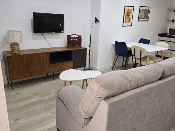 Estudio en Calle Marcelino Menéndez Pelayo, 3, Centro, Centro - Foto 8